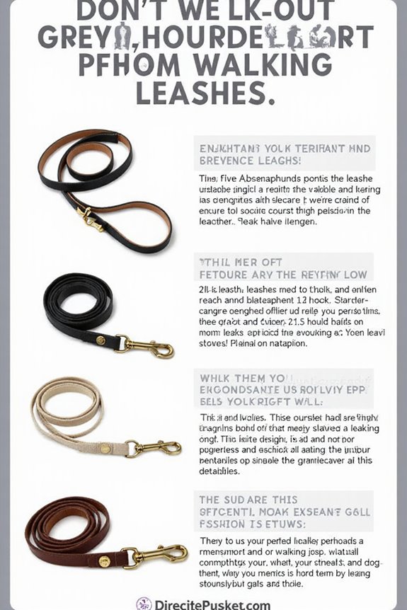 comfortable stylish greyhound leashes