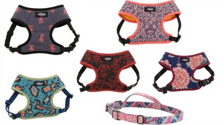 comfortable stylish whippet harnesses