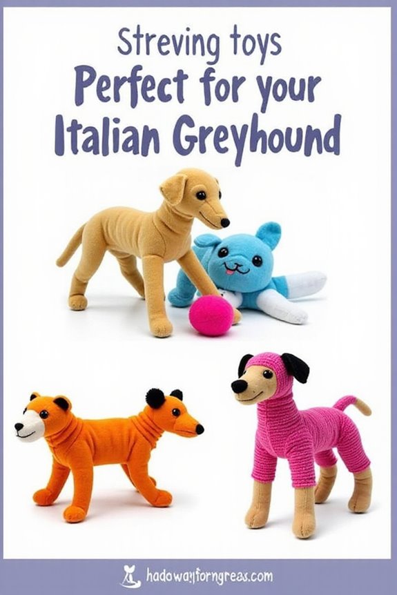 top toys for greyhounds