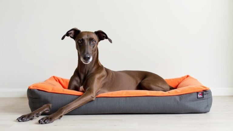 waterproof beds for greyhounds