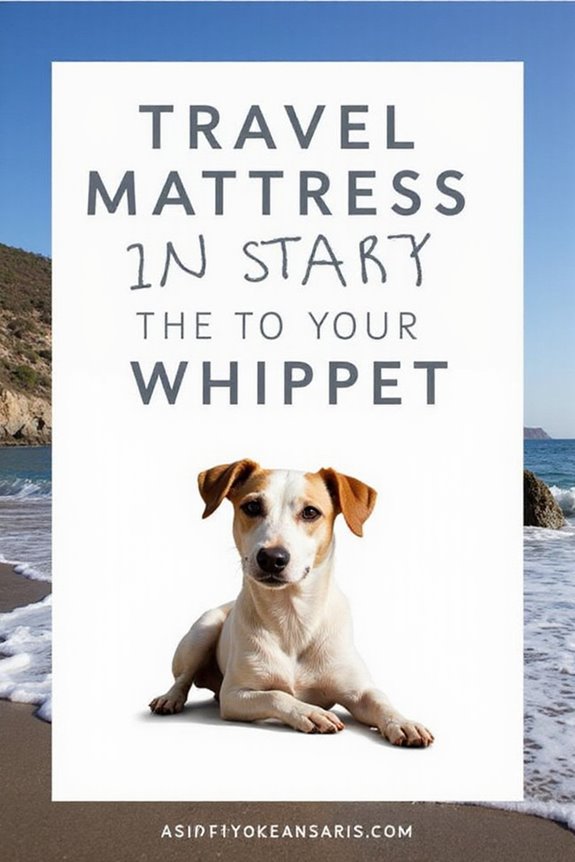whippet travel mattress considerations